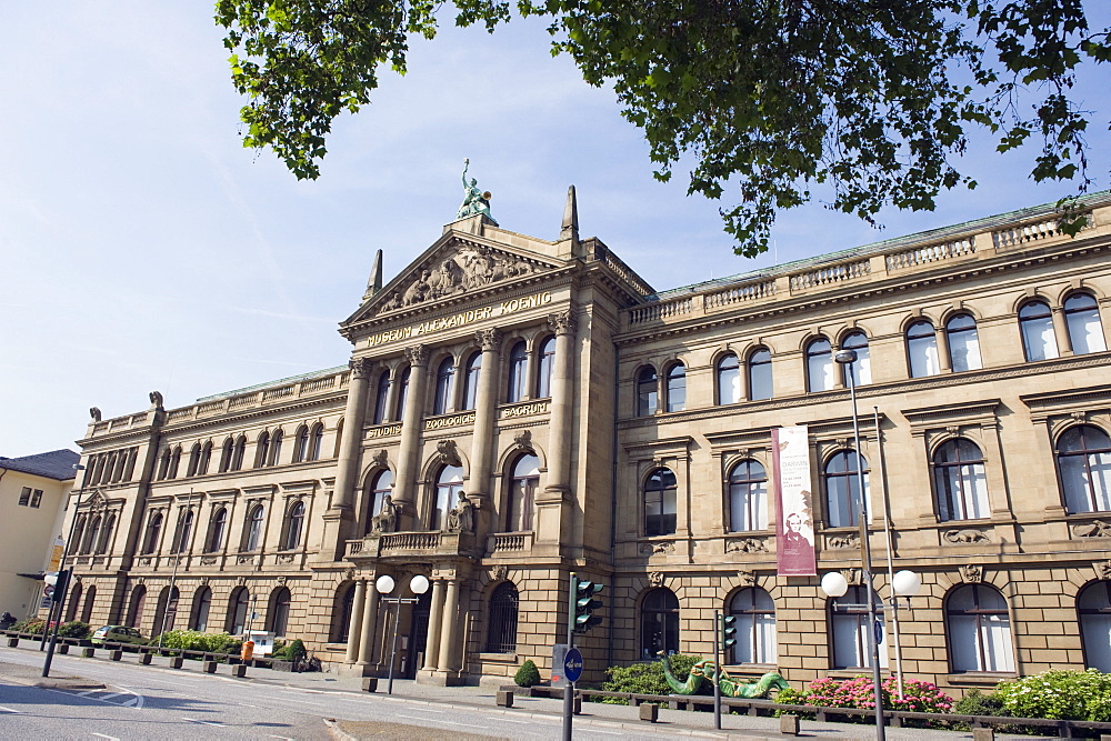 Museum Alexander Koenig, Bonn, North Rhineland Westphalia, Germany, Europe