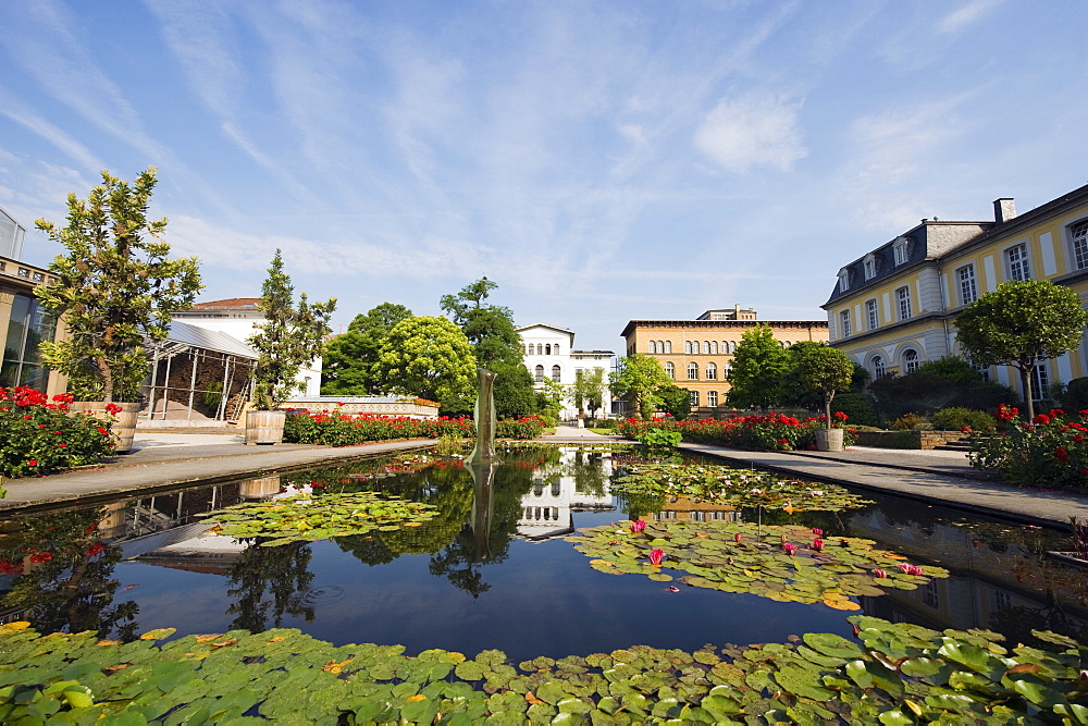 Botanical gardens, Bonn, North Rhineland Westphalia, Germany, Europe