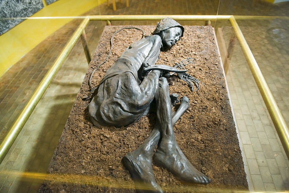 Preserved body of the Tollund Man, hung to death in 300 BC, Silkeborg Museum, Silkeborg, Jutland, Denmark, Scandinavia, Europe