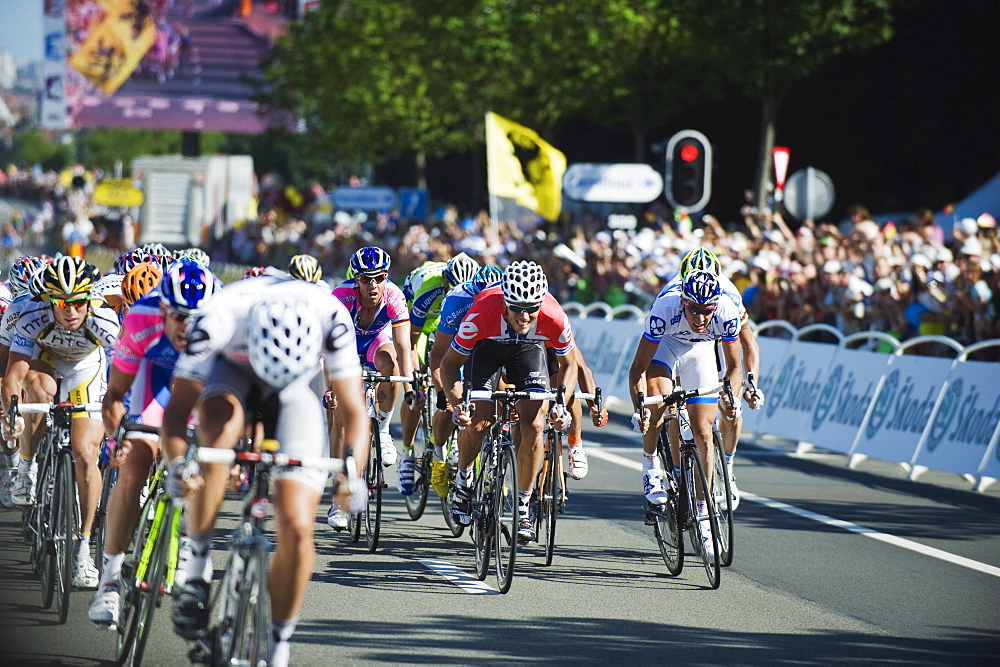 Professional cyclists, fiinishing sprint of a Tour de France stage 2010, Brussels, Belgium, Europe