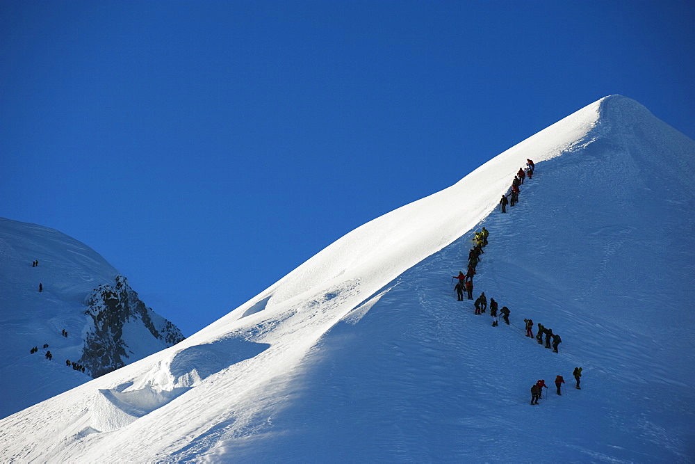 Long line of climbers on summit ridge of Mont Blanc, 4810m, Chamonix, French Alps, France, Europe