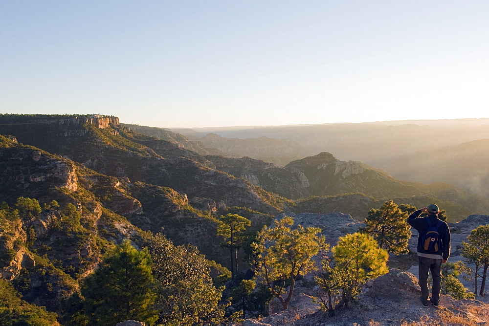 Hiker viewing sunrise in Barranca del Cobre (Copper Canyon), Chihuahua state, Mexico, North America