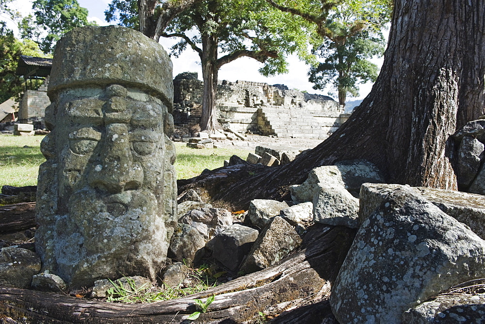 Sculpted head stone at Mayan archeological site, Copan Ruins, UNESCO World Heritage Site, Honduras, Central America