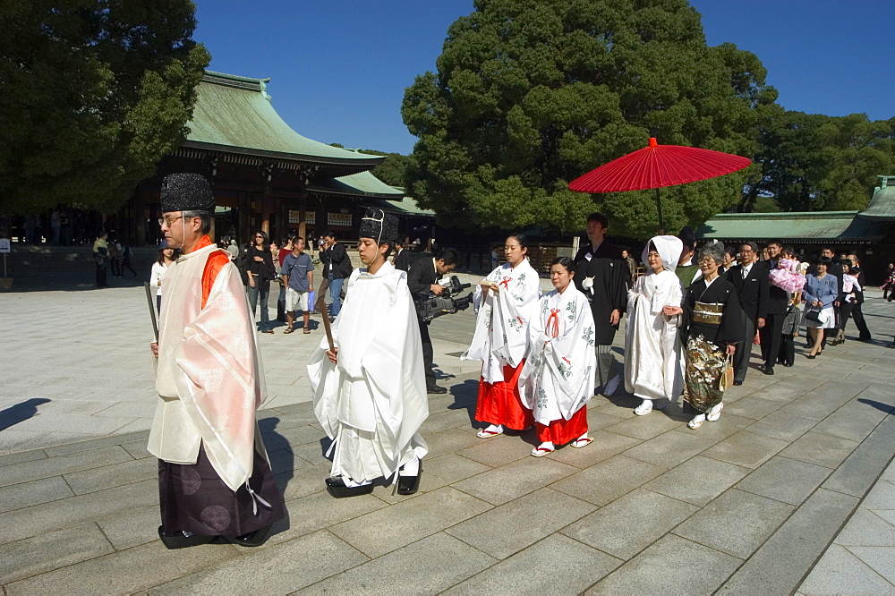 Wedding ceremony, procession, Meiji Shrine, Harajuku, Tokyo, Honshu, Japan, Asia