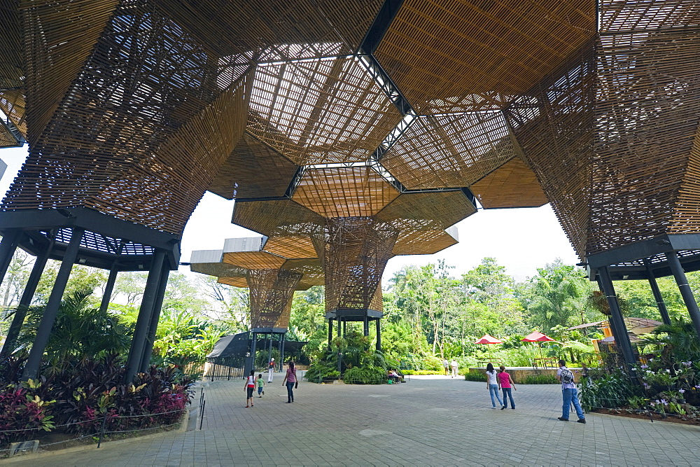 Jardin Botanico Joaquin Antonio Uribe (Botanical Gardens), Medellin, Colombia, South America