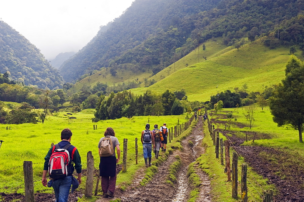 Hiking in Cocora Valley, Salento, Colombia, South America