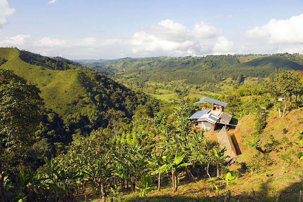 Finca Don Eduardo, coffee farm, Salento, Colombia, South America