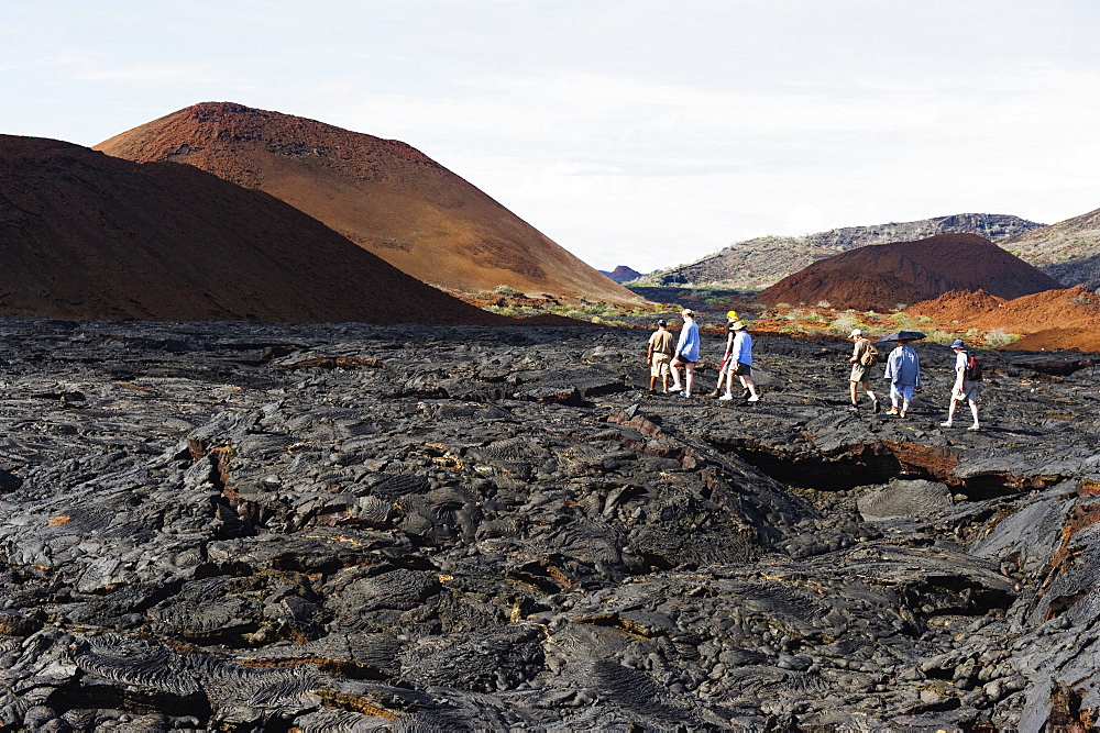 Tourists walking on lava flow on Isla Santiago, Sullivan Bay, Galapagos Islands, UNESCO World Heritage Site, Ecuador, South America