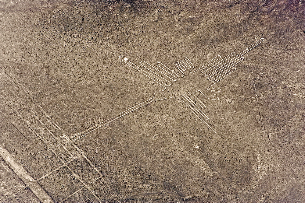 Hummingbird, Lines and Geoglyphs of Nasca, UNESCO World Heritage Site, Peru, South America