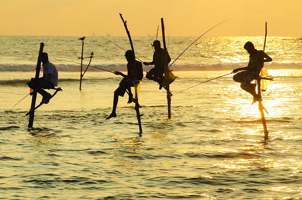 Stilt fishermen, Dalawella, Sri Lanka, Indian Ocean, Asia