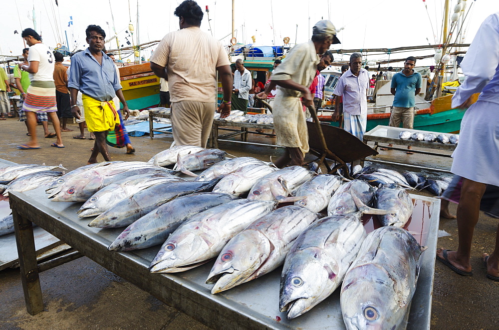 Mirisa, Southern Province, Sri Lanka, Asia