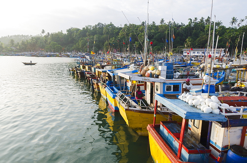 Mirisa, Southern Province, Sri Lanka, Indian Ocean, Asia