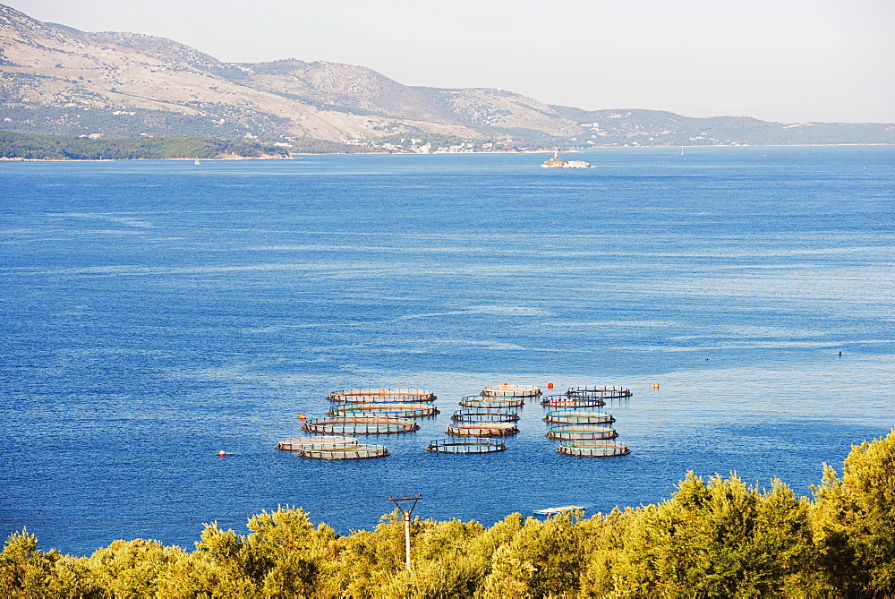 Fishing nets, Butrint, Albania, Mediterranean, Europe 