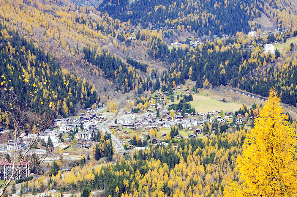 Autumn colours in Chamonix Valley, Chamonix, Haute-Savoie, French Alps, France, Europe 