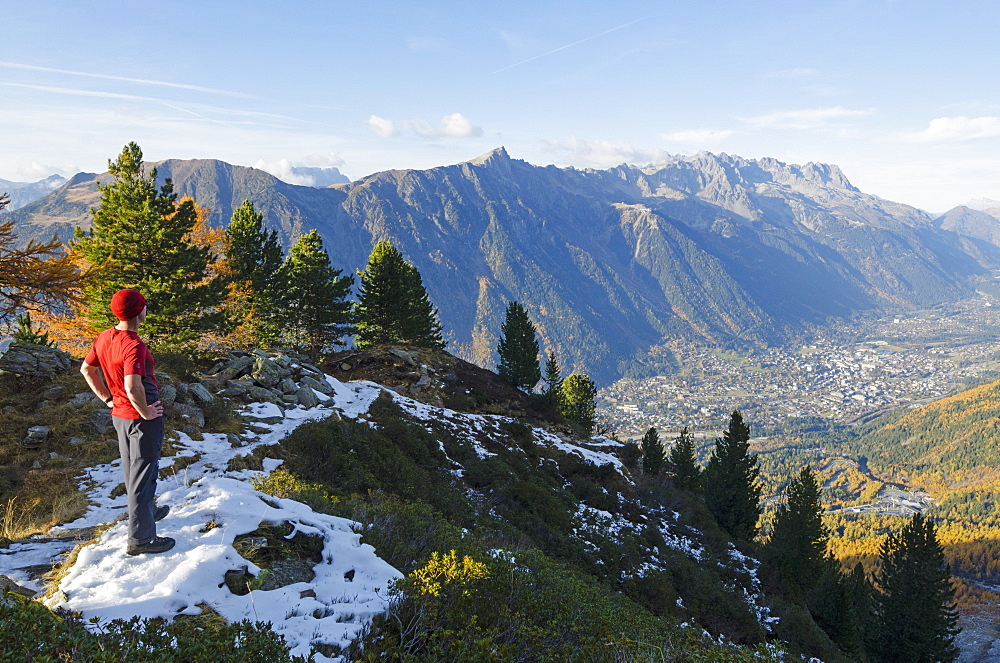 Autumn colours in the Chamonix Valley, Chamonix, Haute-Savoie, French Alps, France, Europe 