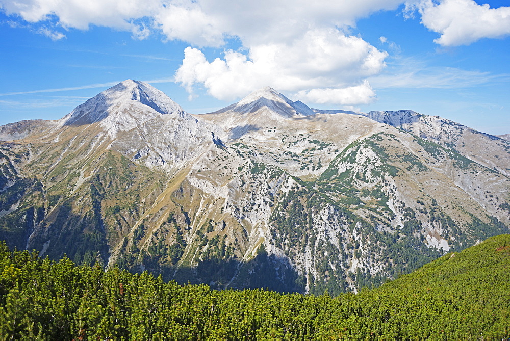 Pirin National Park, UNESCO World Heritage Site, near Bansko, Bulgaria, Europe