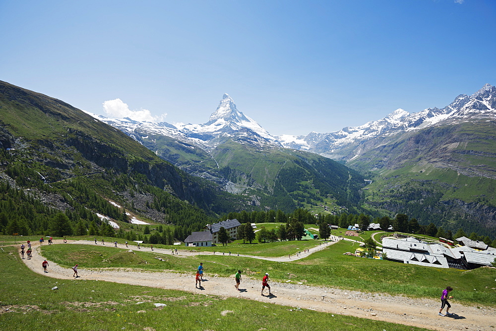 Runners in the Zermatt Marathon and the Matterhorn, Valais, Swiss Alps, Switzerland, Europe