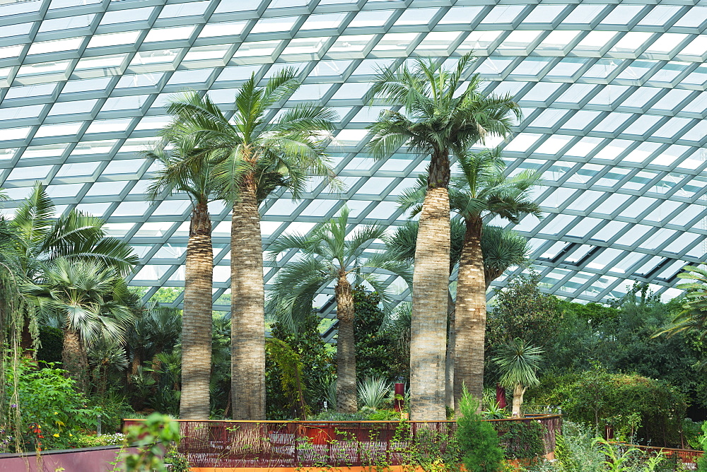 Gardens by the Bay, Flower Garden, botanic gardens, Singapore, Southeast Asia, Asia