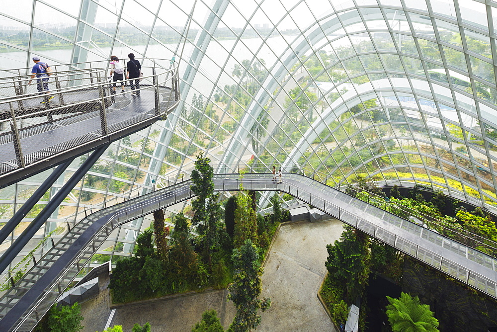 Canopy walkway, Gardens by the Bay, Cloud Forest, botanic garden, Singapore, Southeast Asia, Asia