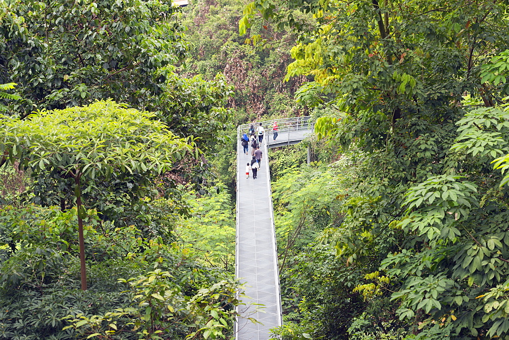 Canopy walk, Southern Ridges, Singapore, Southeast Asia, Asia