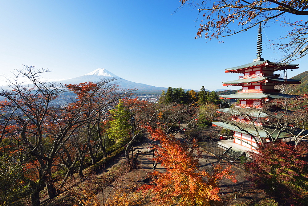 Mount Fuji 3776m and Arakura Sengen Jinja Shinto shrine, UNESCO World Heritage Site, Honshu, Japan, Asia