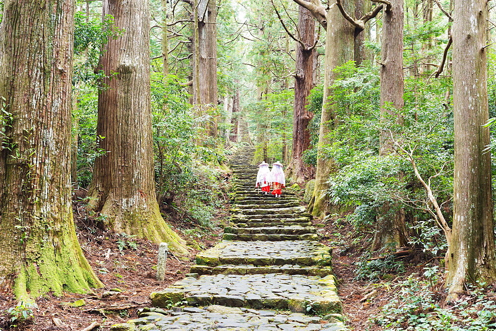 Pilgrims on Daimon-zaka Nachi Tokaido pilgrimage route, UNESCO World Heritage Site, Wakayama Prefecture, Honshu, Japan, Asia