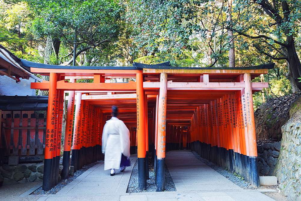 Torii gate at Fushimi Inari Jinja, Shinto shrine, UNESCO World Heritage Site, Kyoto, Honshu, Japan, Asia