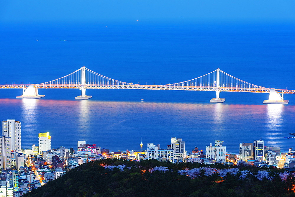 City skyline and Gwangang bridge, Busan, South Korea, Asia