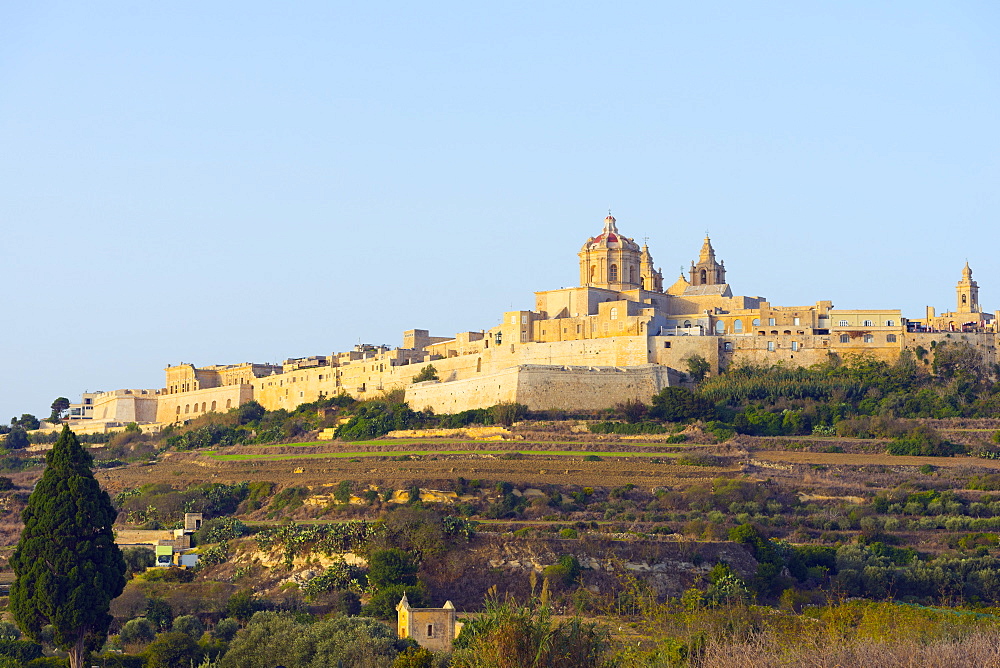 Stone walled city and St. Paul's Cathedral, Mdina, Malta, Mediterranean, Europe