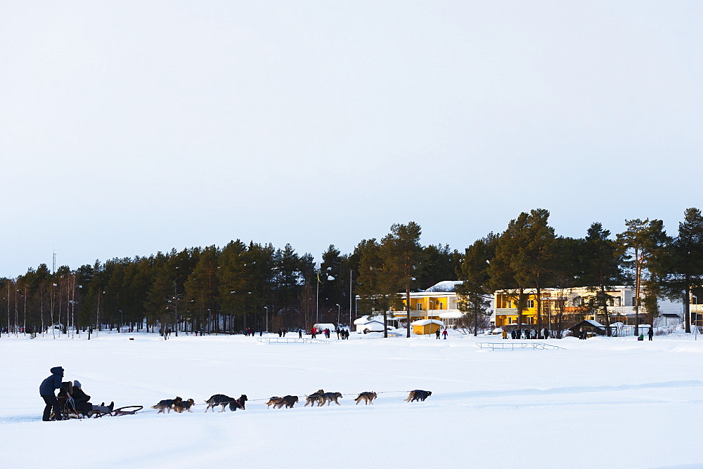 Dog sledding, Jokkmokk, Lapland, Arctic Circle, Sweden, Scandinavia, Europe