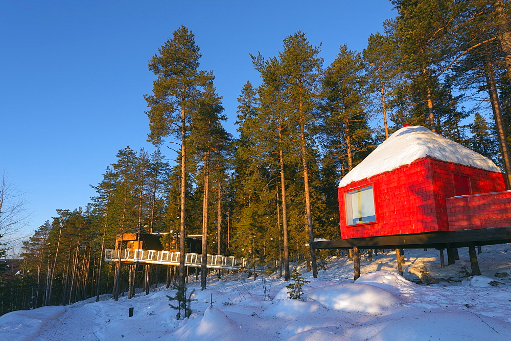 The Blue Cone room, The Tree Hotel, Lapland, Arctic Circle, Sweden, Scandinavia, Europe