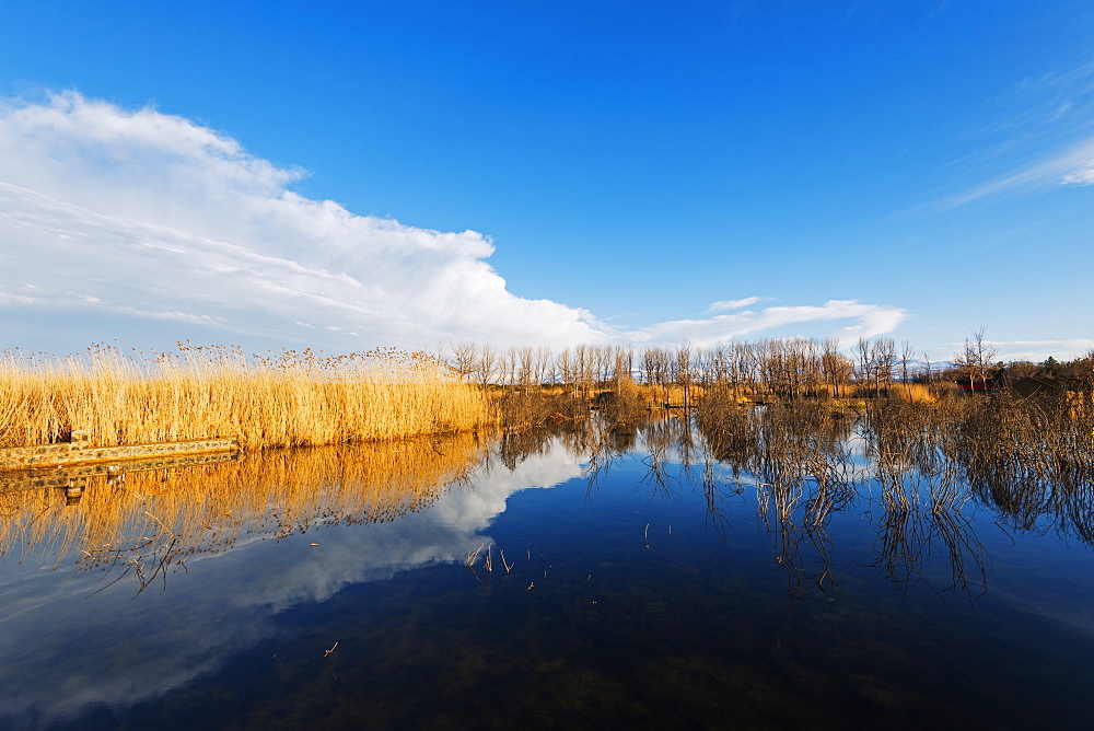 Lake Sevan, Gegharkunik province, Armenia, Caucasus, Central Asia, Asia