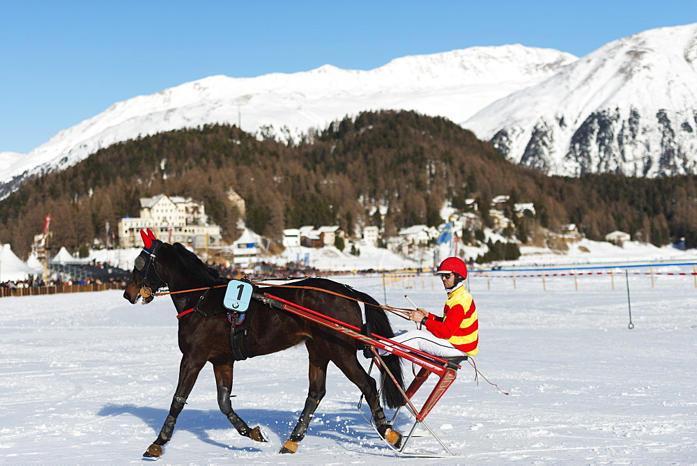 Trap event, White Turf International Horse Race, winter, St. Moritz, Engadine, Graubunden, Switzerland, Europe