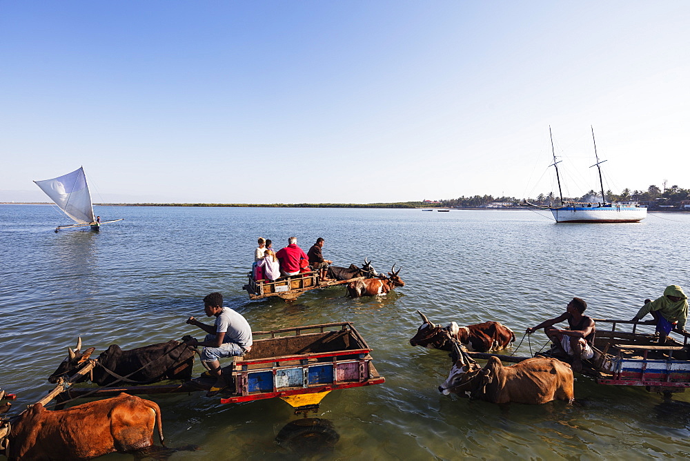 Tulear, boat to shore transfer by zebu cart for tourists, southern area, Madagascar. Africa