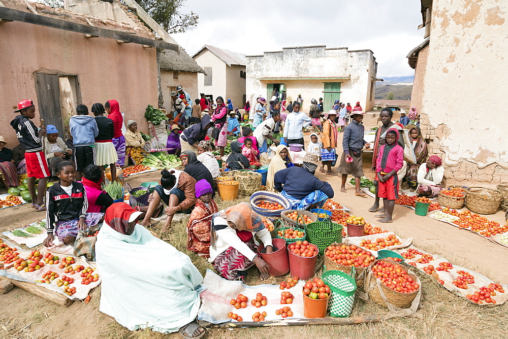 Vegetable sellers, Sendrisoa weekly market, near Ambalavao, central area, Madagascar, Africa