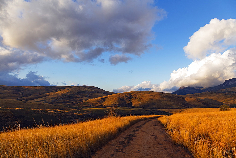 Andringitra National Park, Ambalavao, central area, Madagascar, Africa