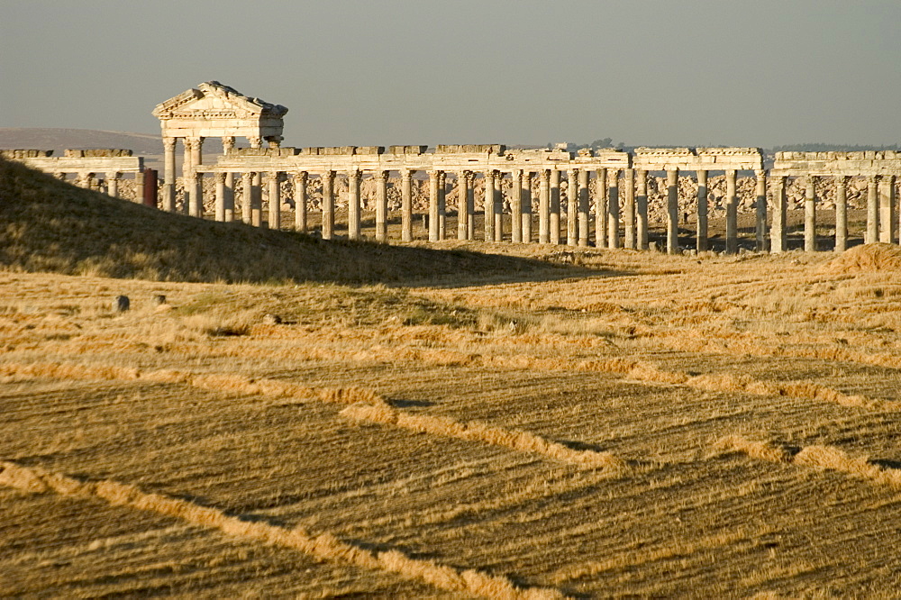 Archaelogical site, Apamea (Qalat at al-Mudiq), Syria, Middle East