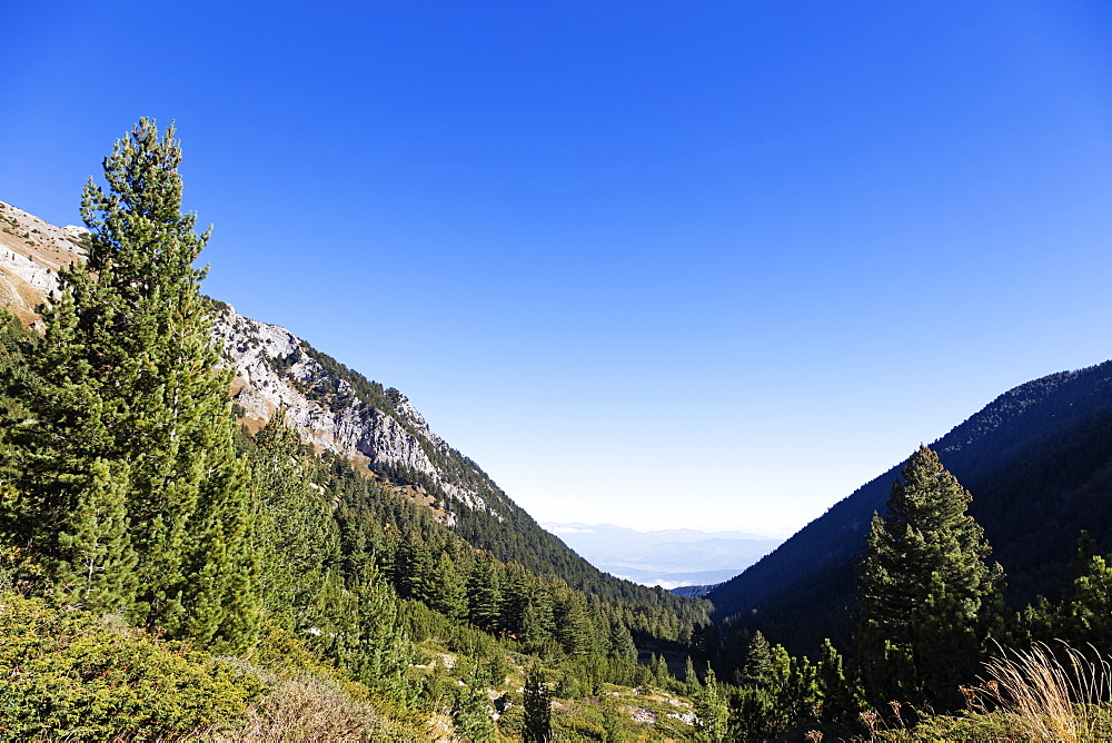 Pirin National Park, UNESCO World Heritage Site, Bansko, Bulgaria, Europe