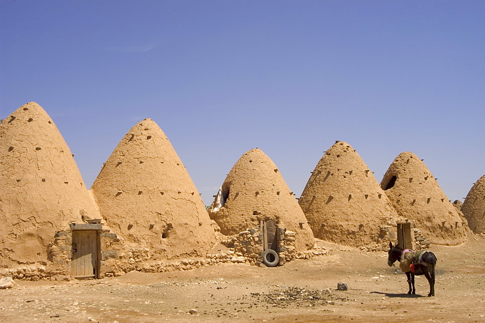 Donkey beside beehive houses built of brick and mud, Srouj village, Syria, Middle East