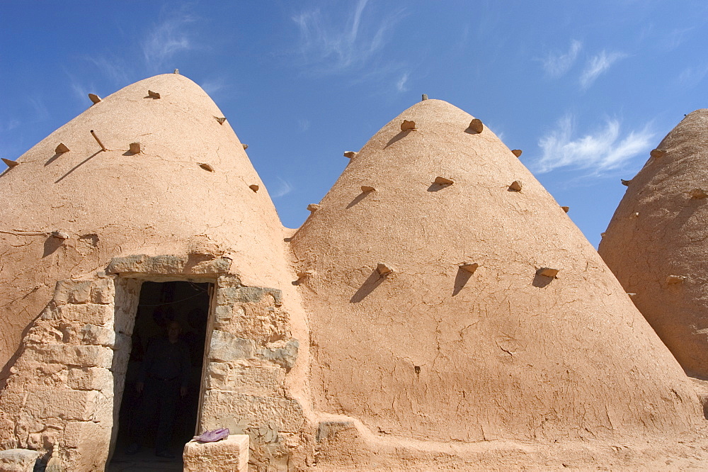 Beehive houses built of brick and mud, Srouj village, Syria, Middle East