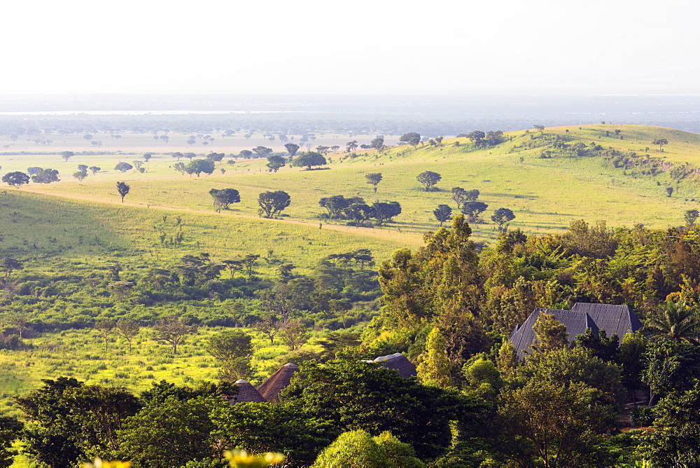 Queen Elizabeth National Park, Uganda, Africa