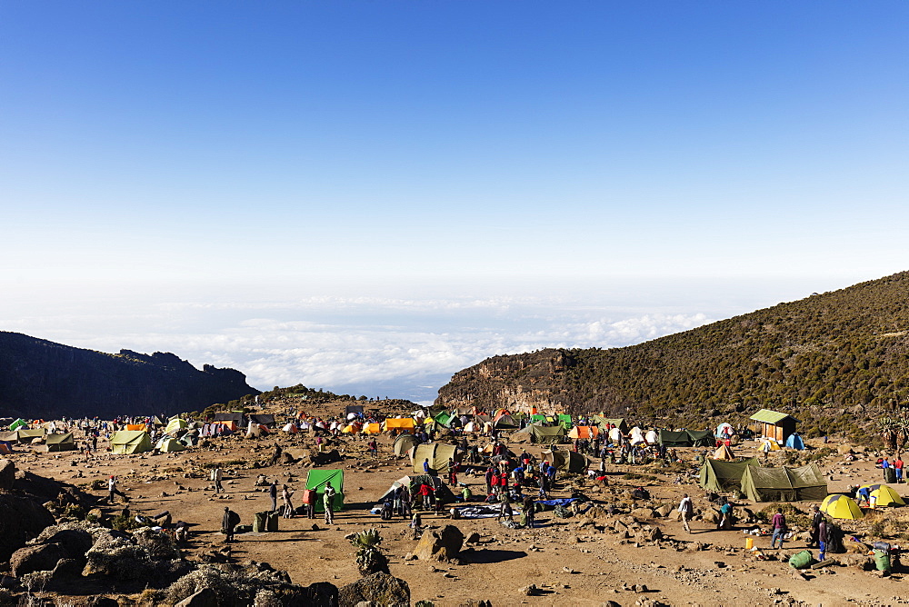 Barranco Camp, Kilimanjaro National Park, UNESCO World Heritage Site, Tanzania, East Africa, Africa