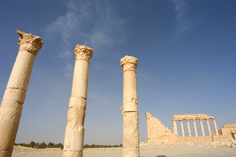 Colonnades, archaelogical ruins, Palmyra, UNESCO World Heritage Site, Syria, Middle East