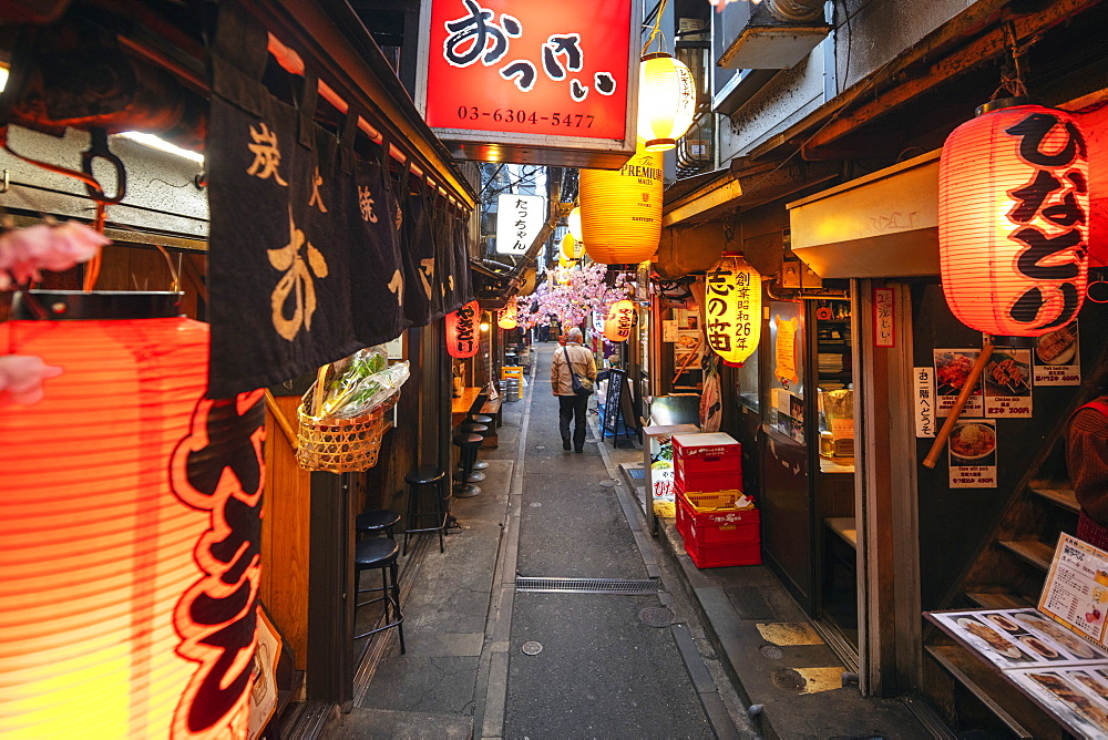 Yokocho food alley, Shinjuku, Tokyo, Japan, Asia