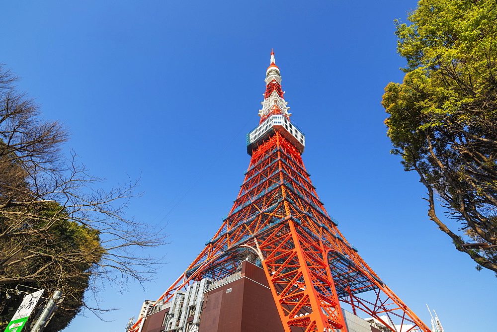 Tokyo Tower, Roppongi, Tokyo, Japan, Asia