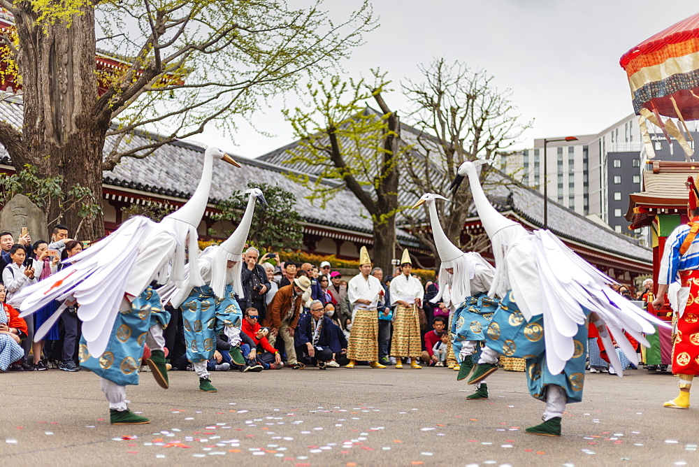 Hakucho White Swan (White Heron) festival, Sensoji Temple, Asakusa, Tokyo, Japan, Asia