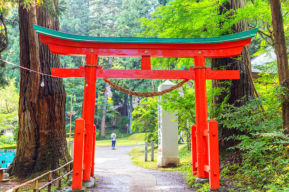 Torii gate, Takkoku no Iwaya Bishaman do temple, UNESCO World Heritage Site, Hiraizumi, Iwate Prefecture, Honshu, Japan, Asia