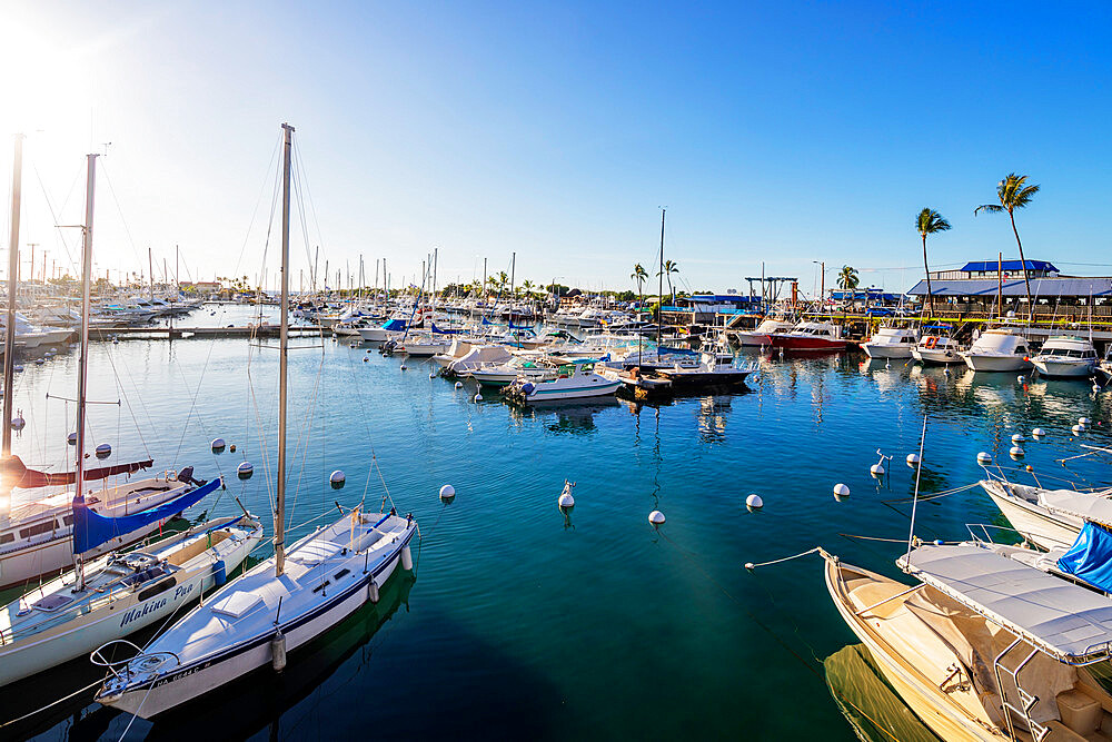 Honokohau Marina, Big Island, Hawaii, United States of America, North America