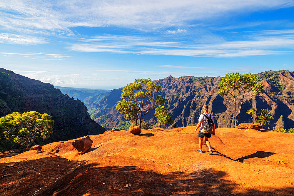 Hiker at Waimea Canyon State Park, Kauai Island, Hawaii, United States of America, North America