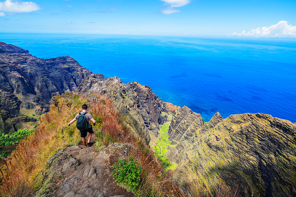 Hiker, Napali coast, Kokee State Park, Kauai Island, Hawaii, United States of America, North America